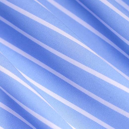 Eabri2016蓝白条纹温莎领英式衬衫 商品图9