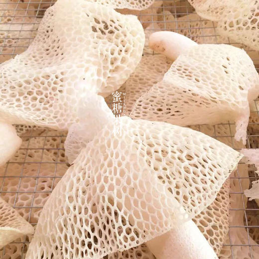 【2025新一批】【7年口碑到爆的蜀南竹海长裙竹荪】【不提取竹液】【非熏】【不打药】【非烘干】 商品图3