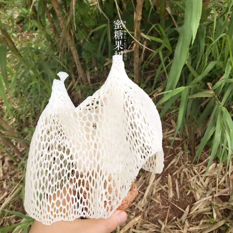 【2025新一批】【7年口碑到爆的蜀南竹海长裙竹荪】【不提取竹液】【非熏】【不打药】【非烘干】