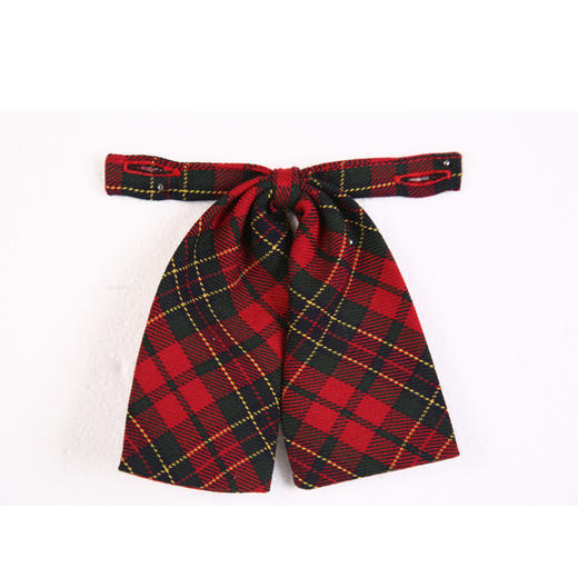 【小学女生秋冬礼服】深圳教育局  高品质 小学女生冬装礼服 商品图4