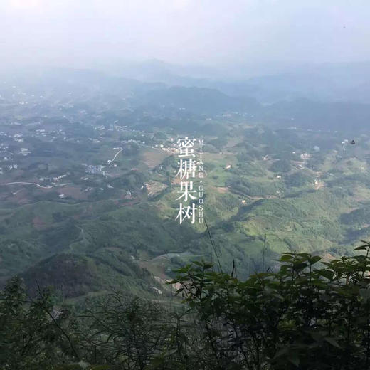 【2025新一批】【7年口碑到爆的蜀南竹海长裙竹荪】【不提取竹液】【非熏】【不打药】【非烘干】 商品图8