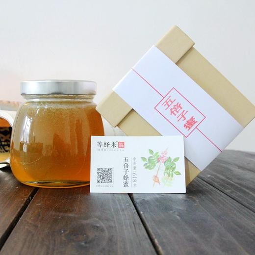【五倍子蜜】等蜂来蜂蜜 天然五倍子蜜618g礼盒装，药材蜂蜜 商品图3