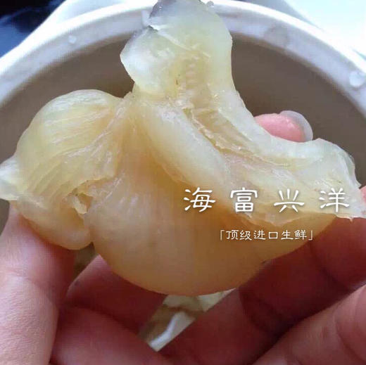 新西兰大马林鱼胶运费顺丰到付 商品图1