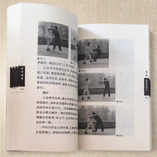 对芗翁拳学的经典解读武学指要杨鸿晨著 商品图4