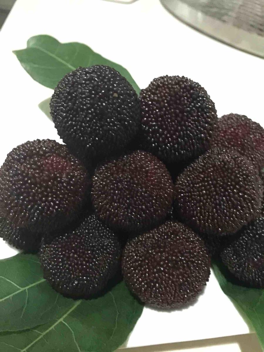 原产地直销仙居特级荸荠杨梅新鲜水果健康无污染