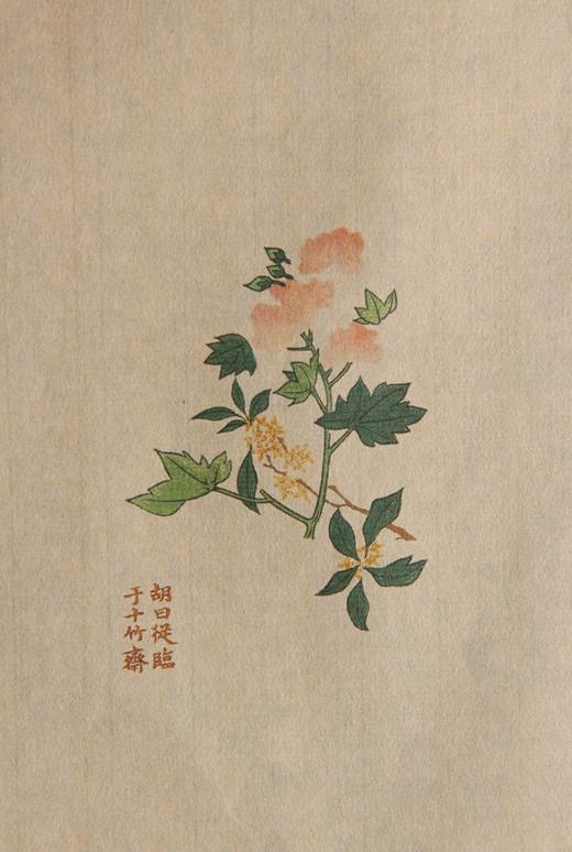 古椿阁精美笺谱（影印笺纸） 商品图7