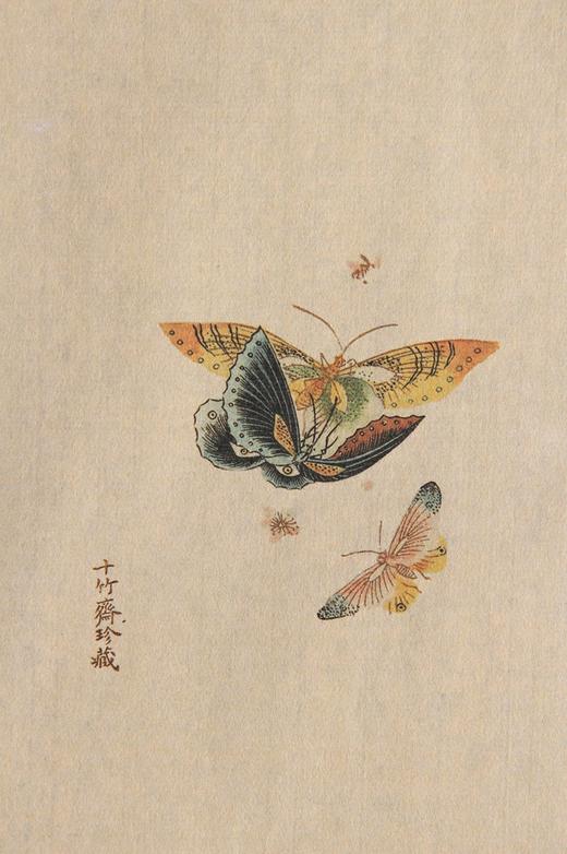 古椿阁精美笺谱（影印笺纸） 商品图13