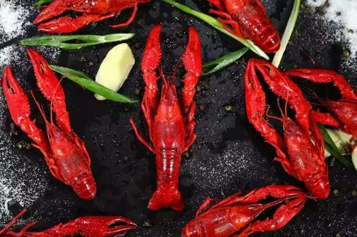 【盐水龙虾】三斤（活虾净重） 商品图3