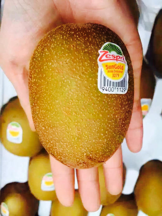 佳沛金果22#大果 商品图1