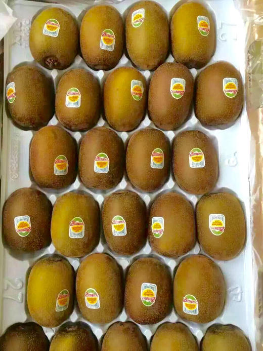 佳沛金果22#大果 商品图3