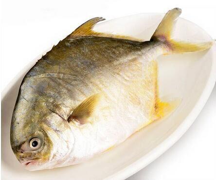 506黄昌鱼毛重约500克/条（默认劏）冰鲜鱼 商品图0