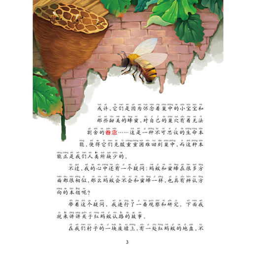 昆虫记 商品图3