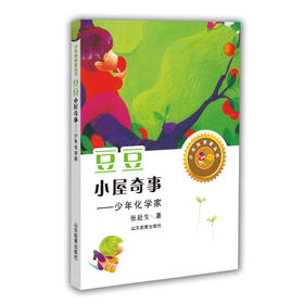 豆豆小屋奇事 少年化学家 张赶生著（少年科学家丛书）身边的科学在探险中学习各科知识6-12岁科学百科全书儿童文学科普小学生课外读物