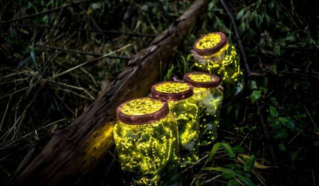 【5.28儿童节】天津首届"萤火虫"亲子派对