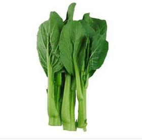 202外地油菜心约500克