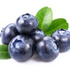 云南脆甜蓝莓 颗粒饱满 新鲜果粉足 自带花香 商品缩略图1