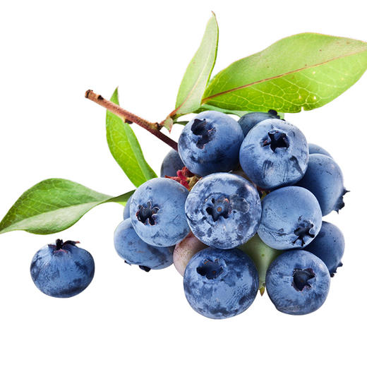 云南脆甜蓝莓 颗粒饱满 新鲜果粉足 自带花香 商品图2