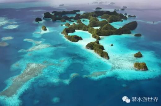 Palau T&amp;H Tour潜水预定 商品图0