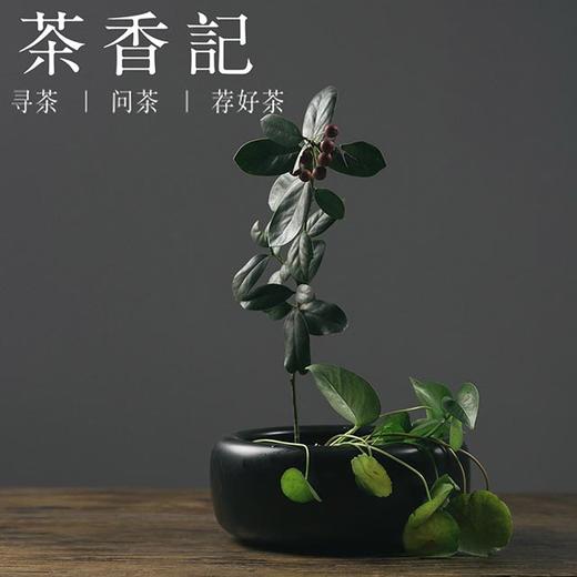 茶香记 剑山花插 日本剑山小原流剑山 池坊花道插花剑山 花器 商品图4