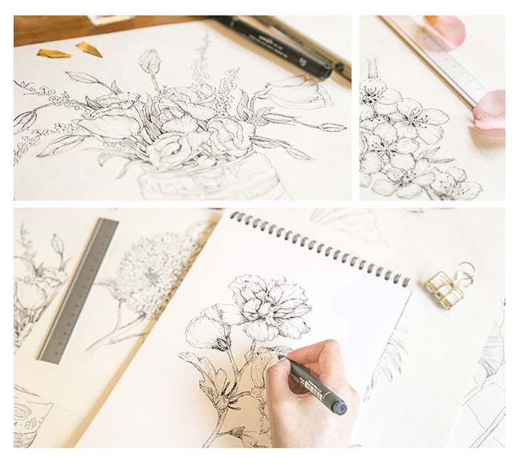 飞乐鸟黑白花之绘218种经典花卉的素描技法成人绘画