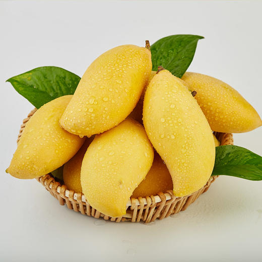 鹰嘴芒热带新鲜水果芒果缅甸进口鹰嘴芒5斤