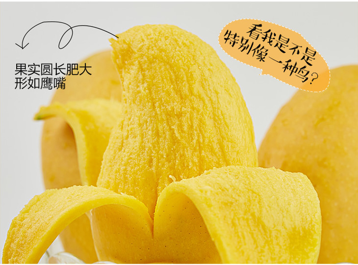 鹰嘴芒热带新鲜水果芒果缅甸进口鹰嘴芒5斤
