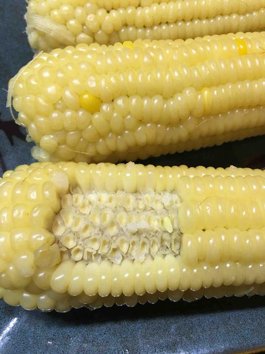 【推荐】东北黑土地糯玉米，冷冻保存 商品图7