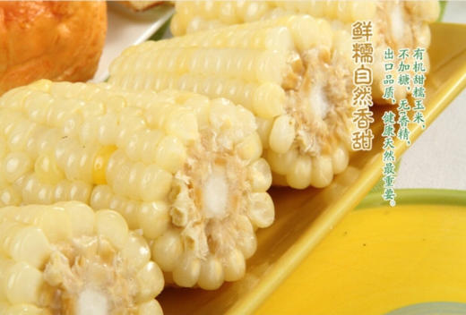 【推荐】东北黑土地糯玉米，冷冻保存 商品图8