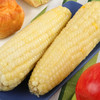 【推荐】东北黑土地糯玉米，冷冻保存 商品缩略图4