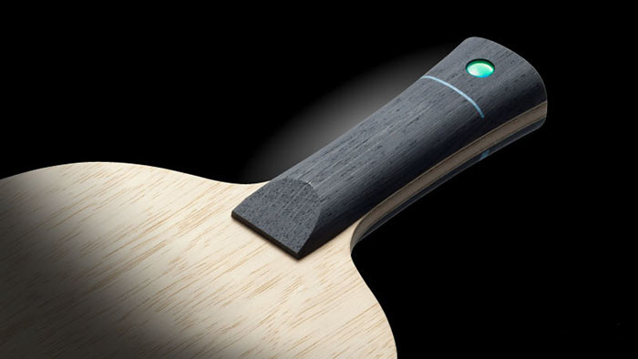 蝴蝶butterfly弗雷塔斯freitasalc36841