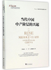 当代中国中产阶层的兴起(精)/大国大转型中国经济转型与创新发展丛书/苏海南/王宏/常风林/浙江大学出版社 商品缩略图0
