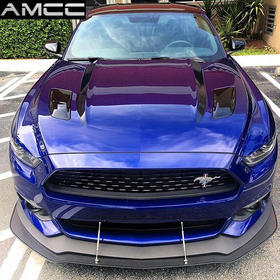 定制第六代野马专用前唇，送拉杆（前扰流板，增加下压力、装逼两用）物流费到付，商品定制非质量原因不退货