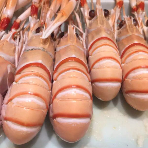 新西兰海鳌虾运费顺丰到付