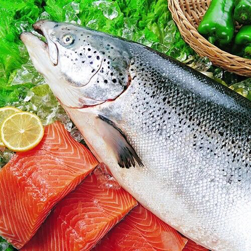 挪威冰鲜三文鱼顺丰快递运费到付