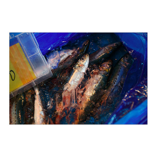 食帖03：食鲜最高 （第2版） 林江 著 饮食文化 食帖系列 美食菜谱 中信出版 商品图4