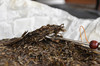 2014年布朗山普洱生茶，净重量357克 商品缩略图2