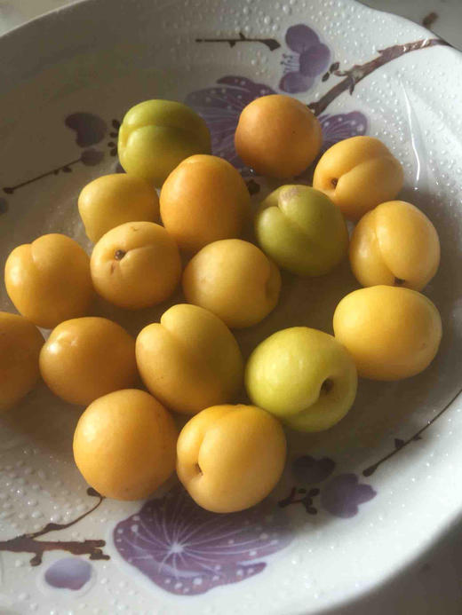 正宗新疆轮台小白杏 天山雪水浇灌，杏味足，甜度高！看看什么才是轮台产区的小白杏！ 商品图5