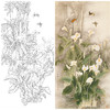 竖幅四尺六尺工笔花鸟白描底稿-梁燕生-蝴蝶马蹄莲花-无暇-A001 商品缩略图0