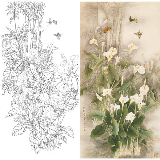 竖幅四尺六尺工笔花鸟白描底稿-梁燕生-蝴蝶马蹄莲花-无暇-A001 商品图0