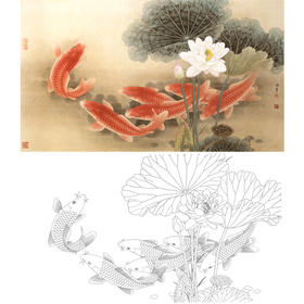 横幅工笔花鸟白描底稿-路雨年-荷花鲤鱼-A002