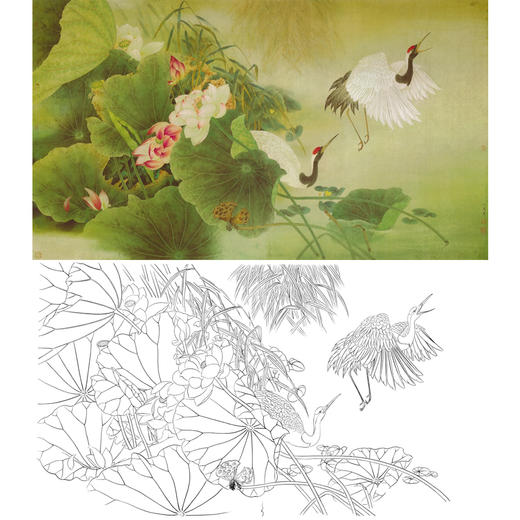 曹小民横幅工笔花鸟白描底稿-仙鹤-荷花白鹤-A004 商品图0