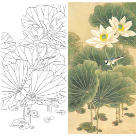 竖幅四尺六尺工笔花鸟白描底稿-荷花-A115