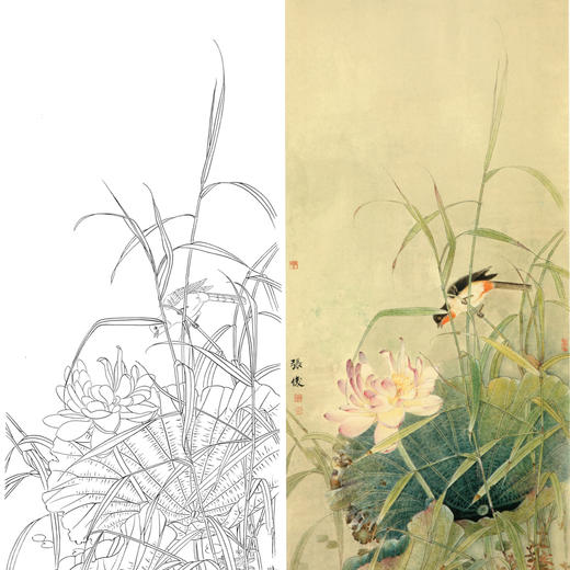 竖幅工笔花鸟白描底稿-荷花-A108 商品图0