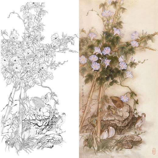 竖幅工笔花鸟白描底稿-梁燕生-鹌鹑牵牛花《千秋安康》-多种白描尺寸可选-A012 商品图0