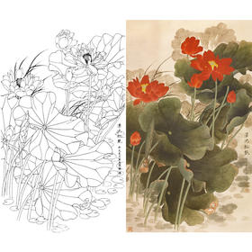 竖幅梁燕生工笔花鸟白描底稿-荷花-泽池红艳-A131