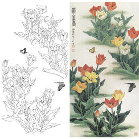 竖幅工笔花鸟白描底稿-金鸿钧-郁金香-A082