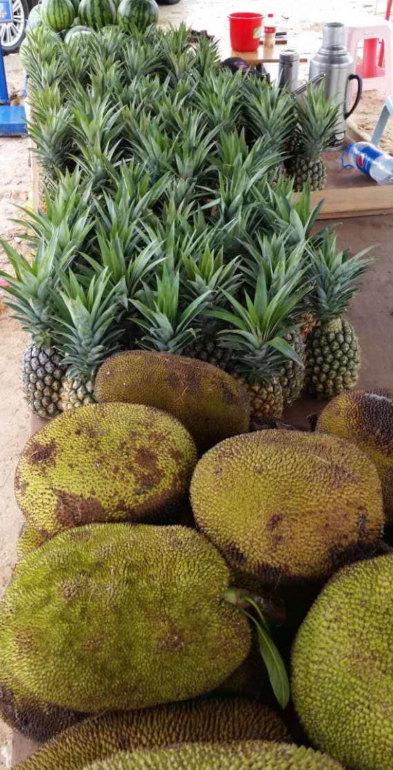 缅甸进口无眼水晶菠萝.单个四斤,绿色健康,口感酥嫩
