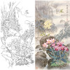 竖幅工笔花鸟白描底稿-梁燕生《幽兰芳馨》-多种白描尺寸可选-A039 商品缩略图0
