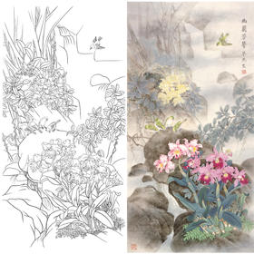 竖幅工笔花鸟白描底稿-梁燕生《幽兰芳馨》-多种白描尺寸可选-A039