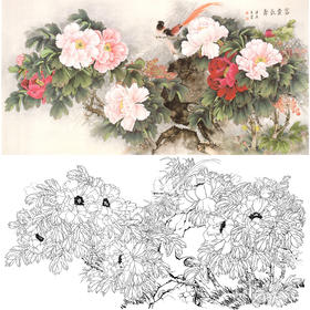 横幅工笔花鸟白描底稿-梁燕生-牡丹绶带鸟《富贵长寿》-多种白描尺寸可选-A006
